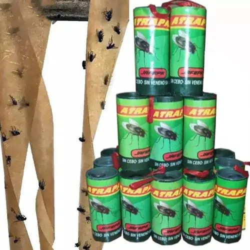 Atrapamoscas 