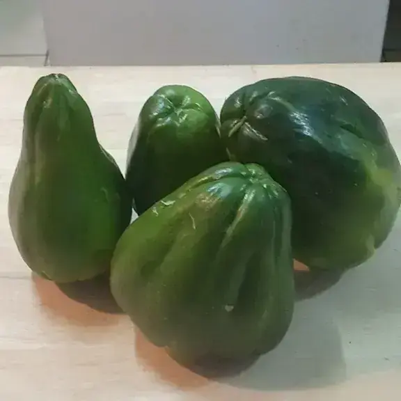 Guisquil 