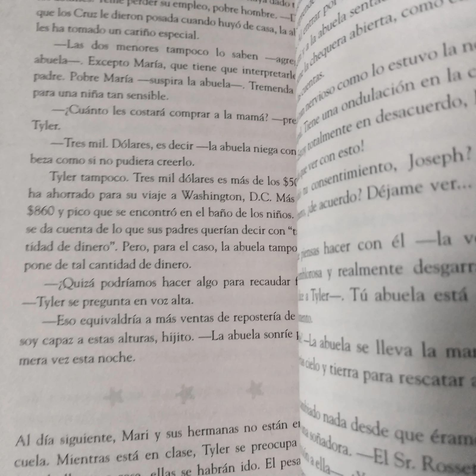Devolver al remitente , Julia Álvarez usado 3