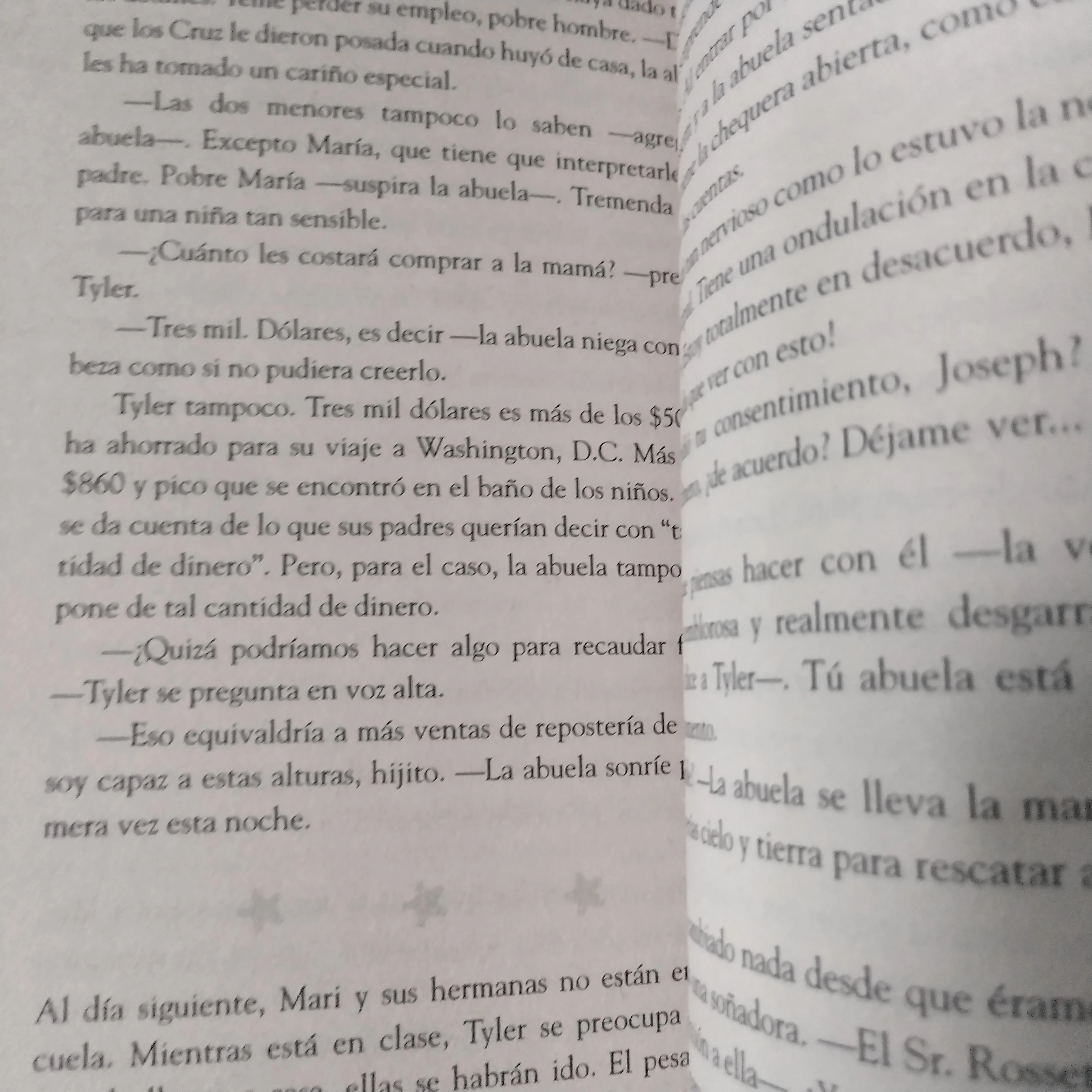 Devolver al remitente , Julia Álvarez usado 3