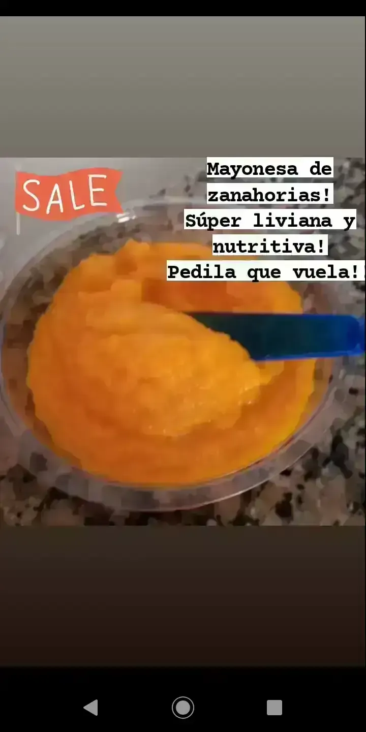 Mayonesa de 🥕 x 200 gr