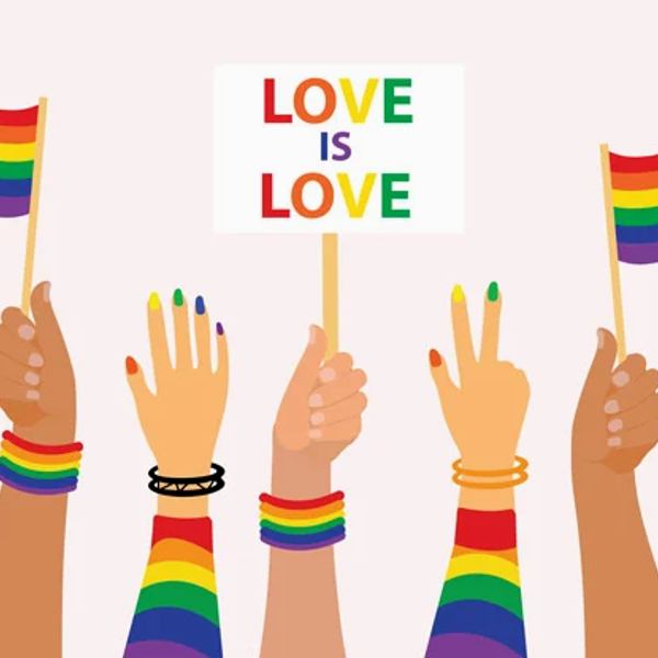 Calcetas: Pride
