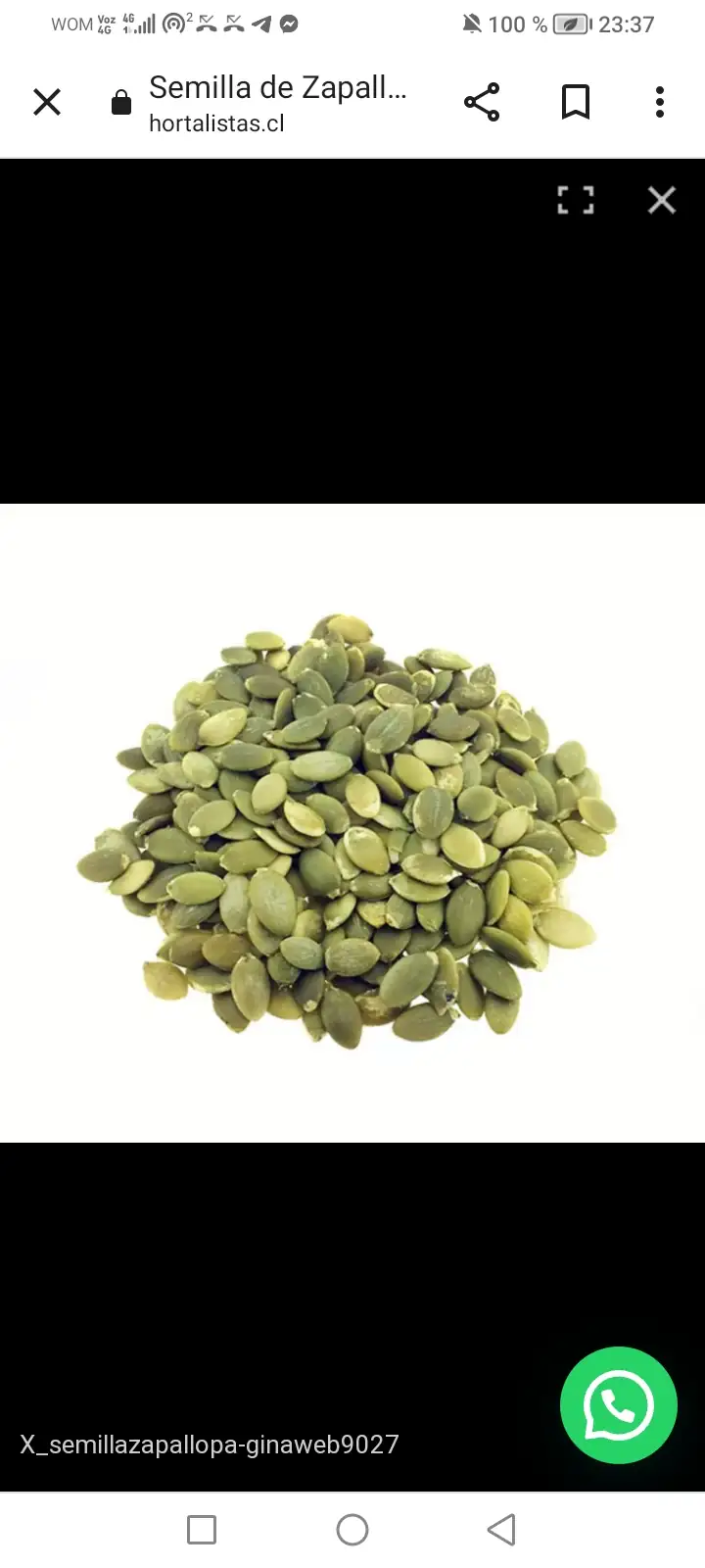 Zapallo 200 gramos