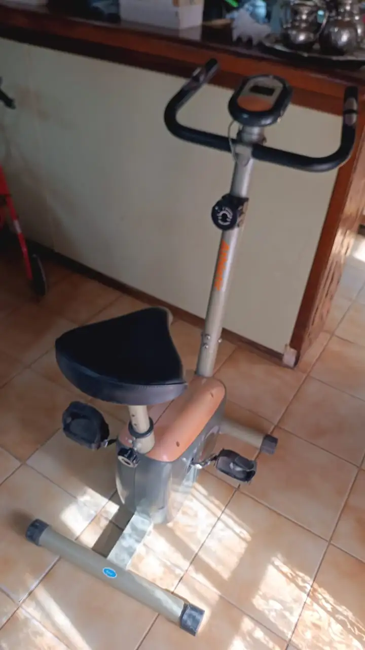 Bici fija