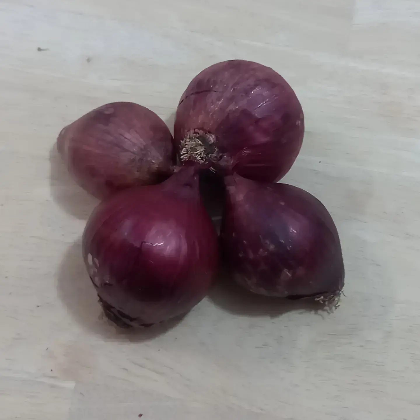 Cebolla morada 