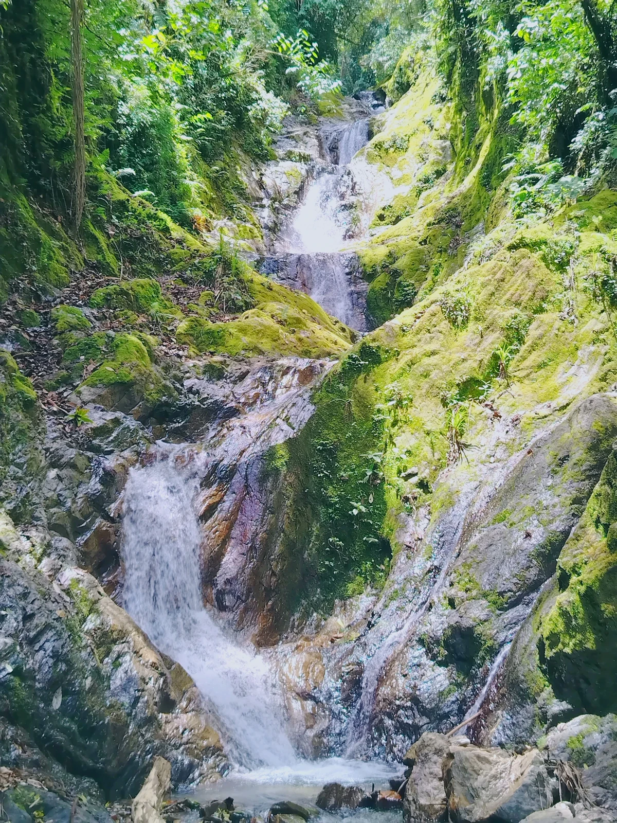 Mente Clara Montaña Viva 3
