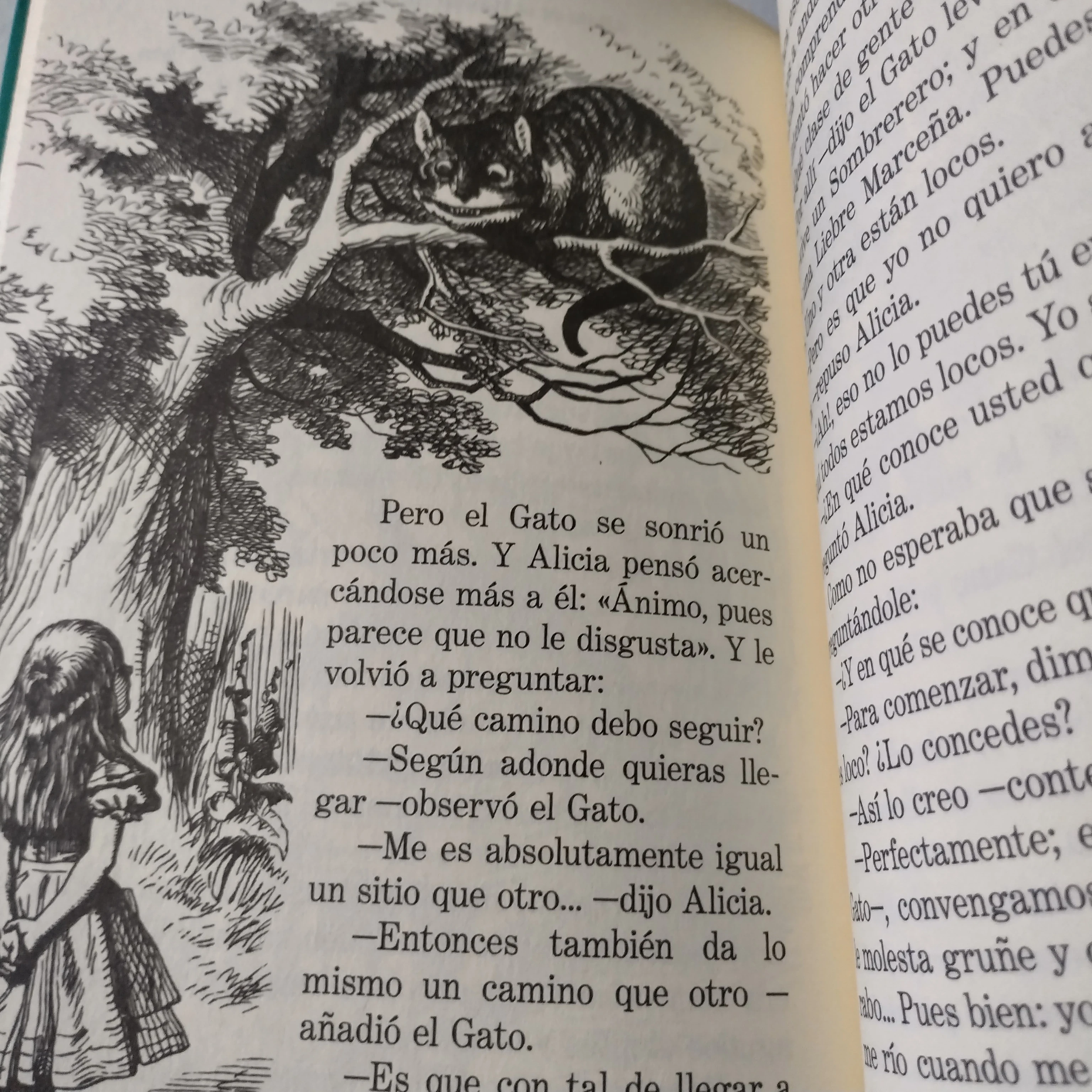 Alicia en el pais de las maravillas, Lewis Carroll, nuevo  3