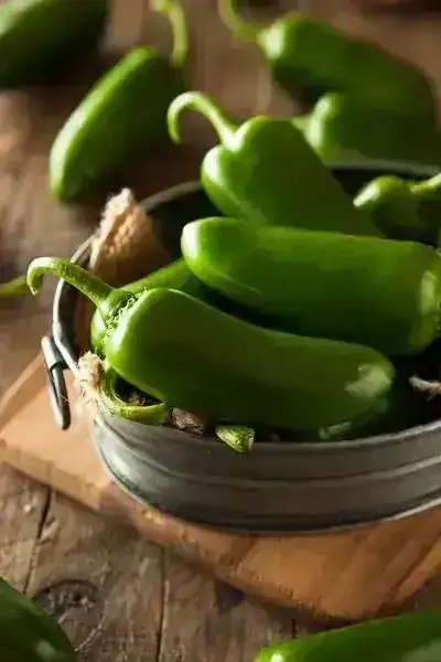 CHILE JALAPEÑO