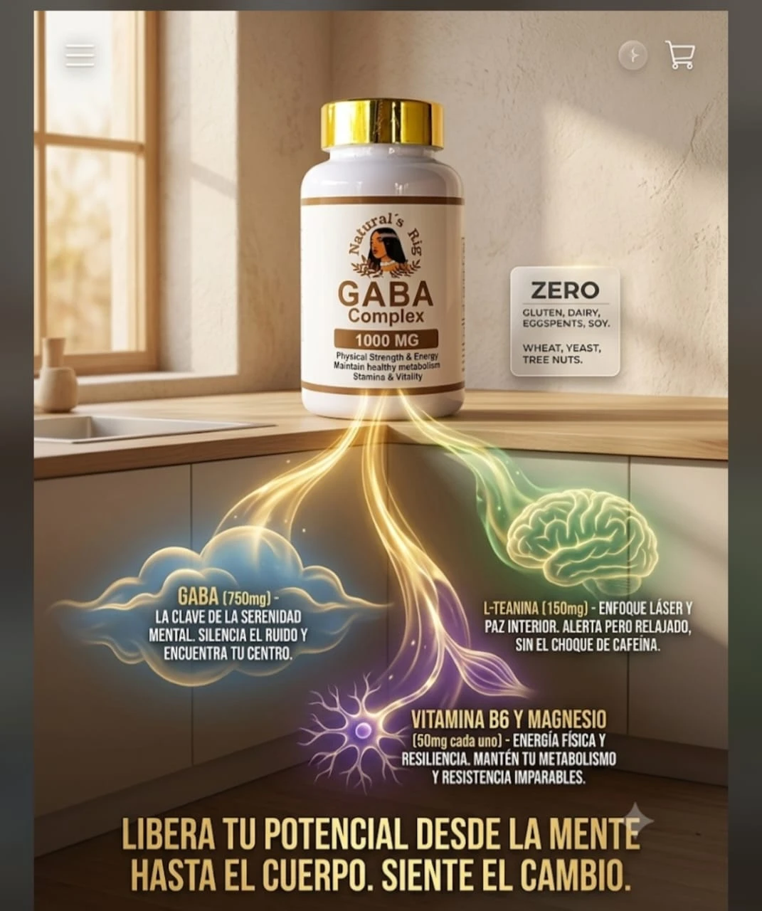 GABA Complex 1000 MG – Natural's Rig