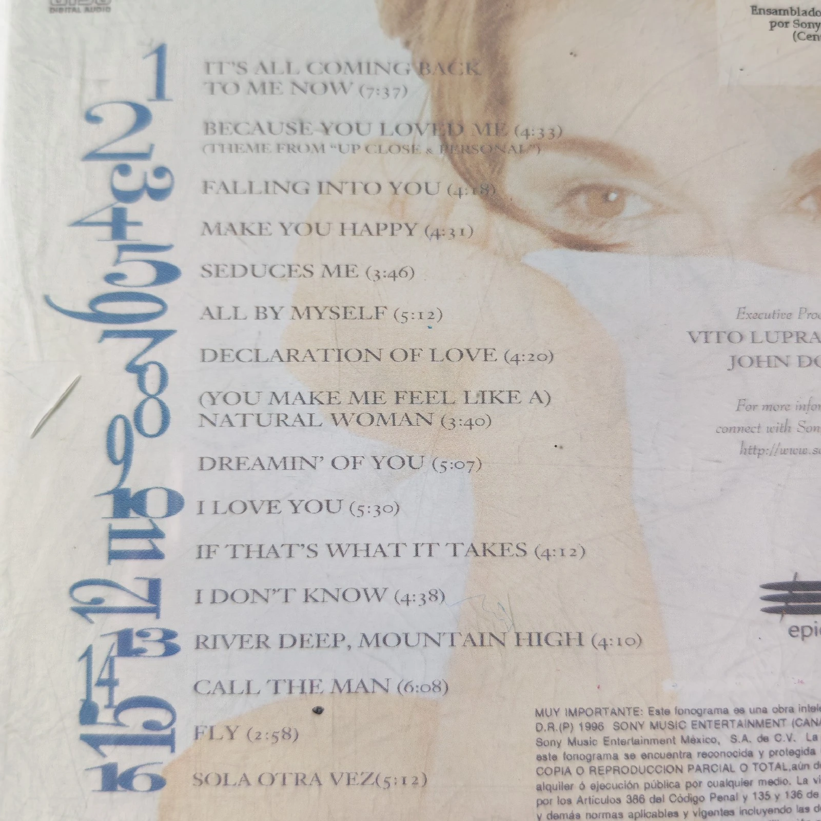 CD Celine Dion Falling into you Usado  2