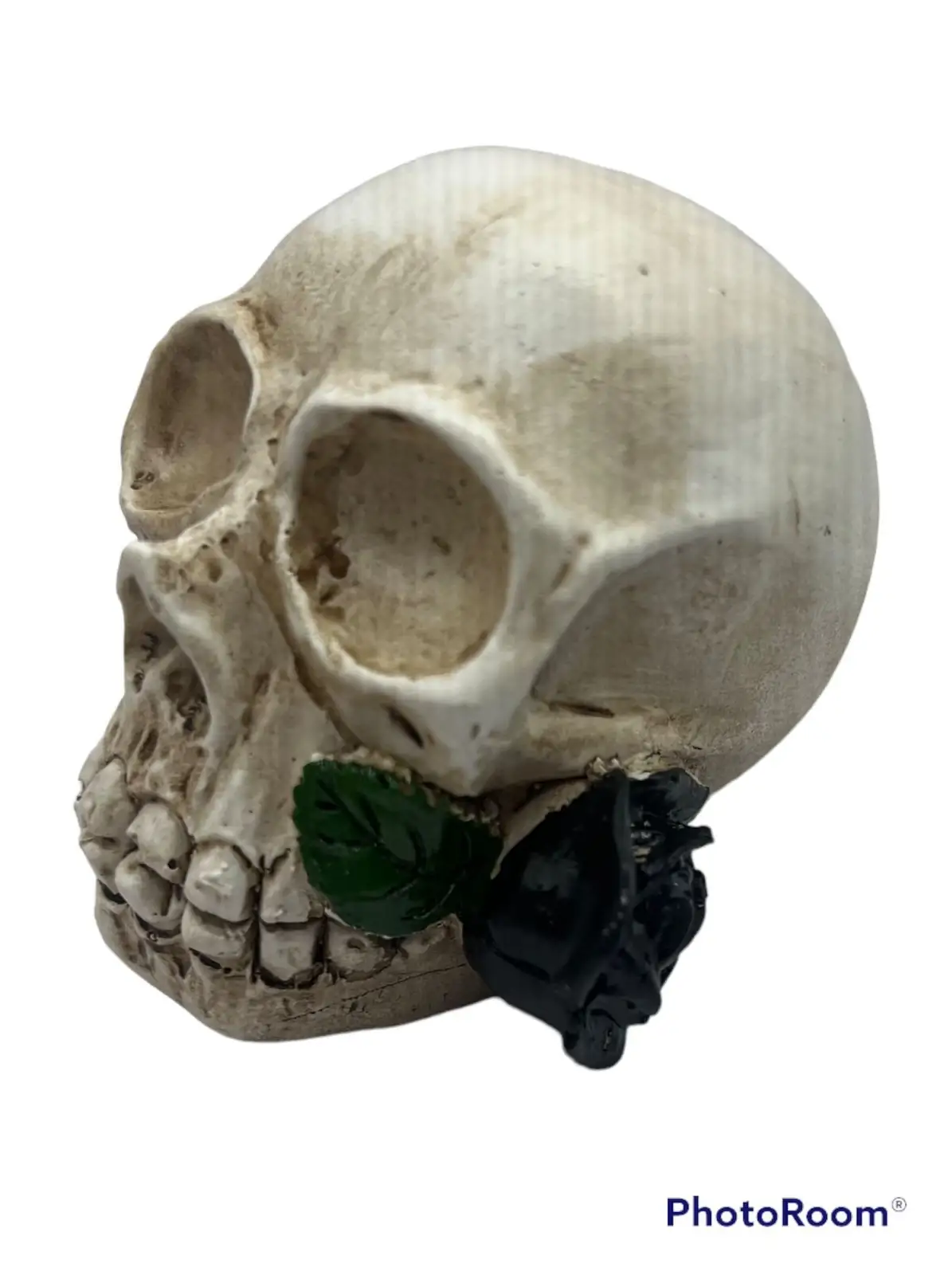 Calavera de Halloween, adorno 💀 
