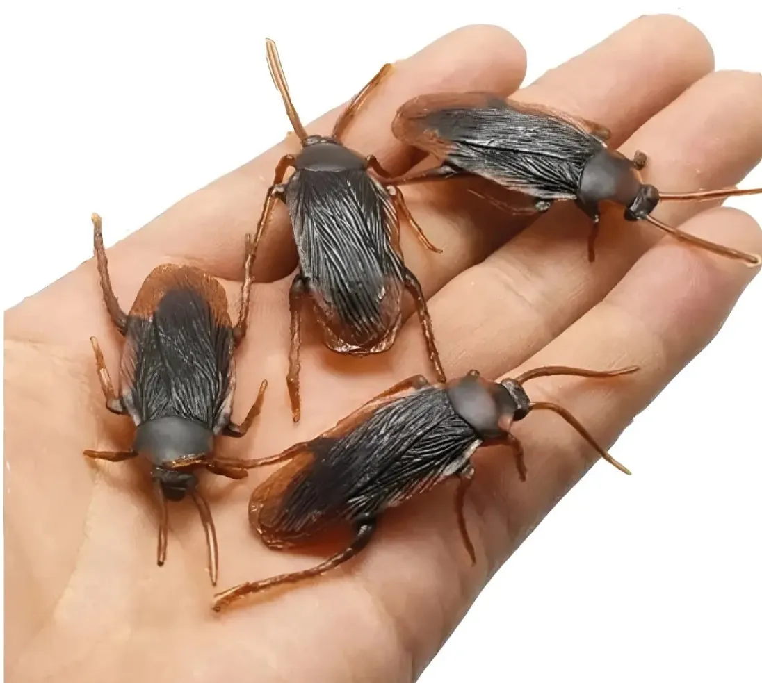 Cucaracha de goma 7cm aprox por 10 unidades  3