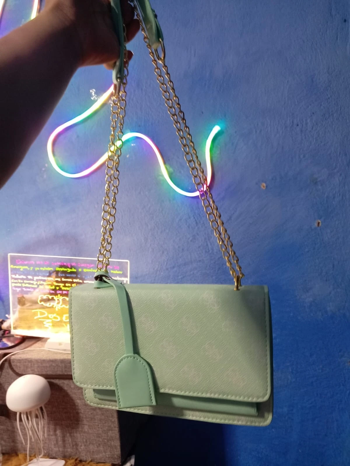 Bolso de dama  3