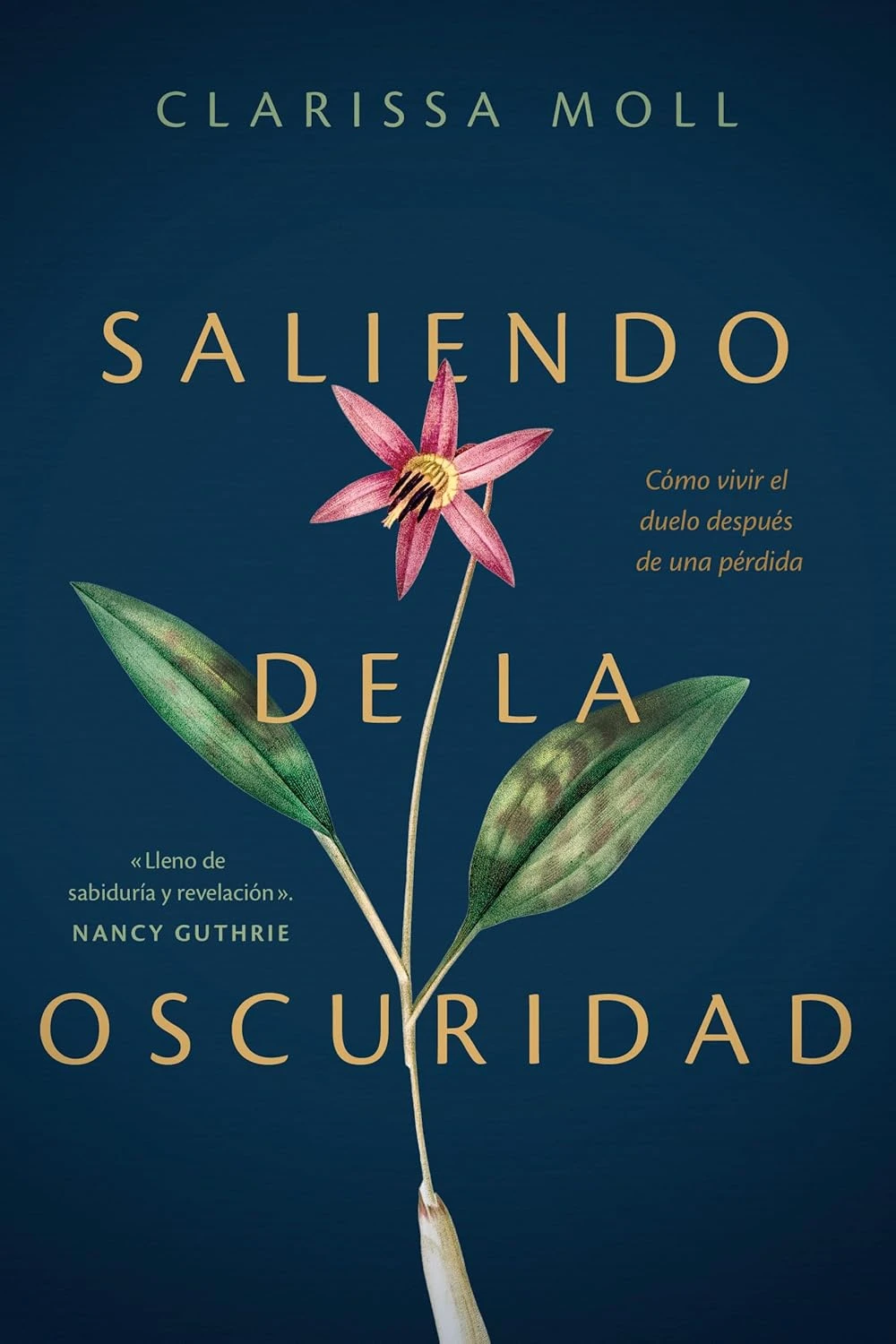 Saliendo de la oscuridad 3