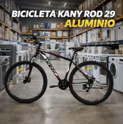 BICICLETA KANY ROD29