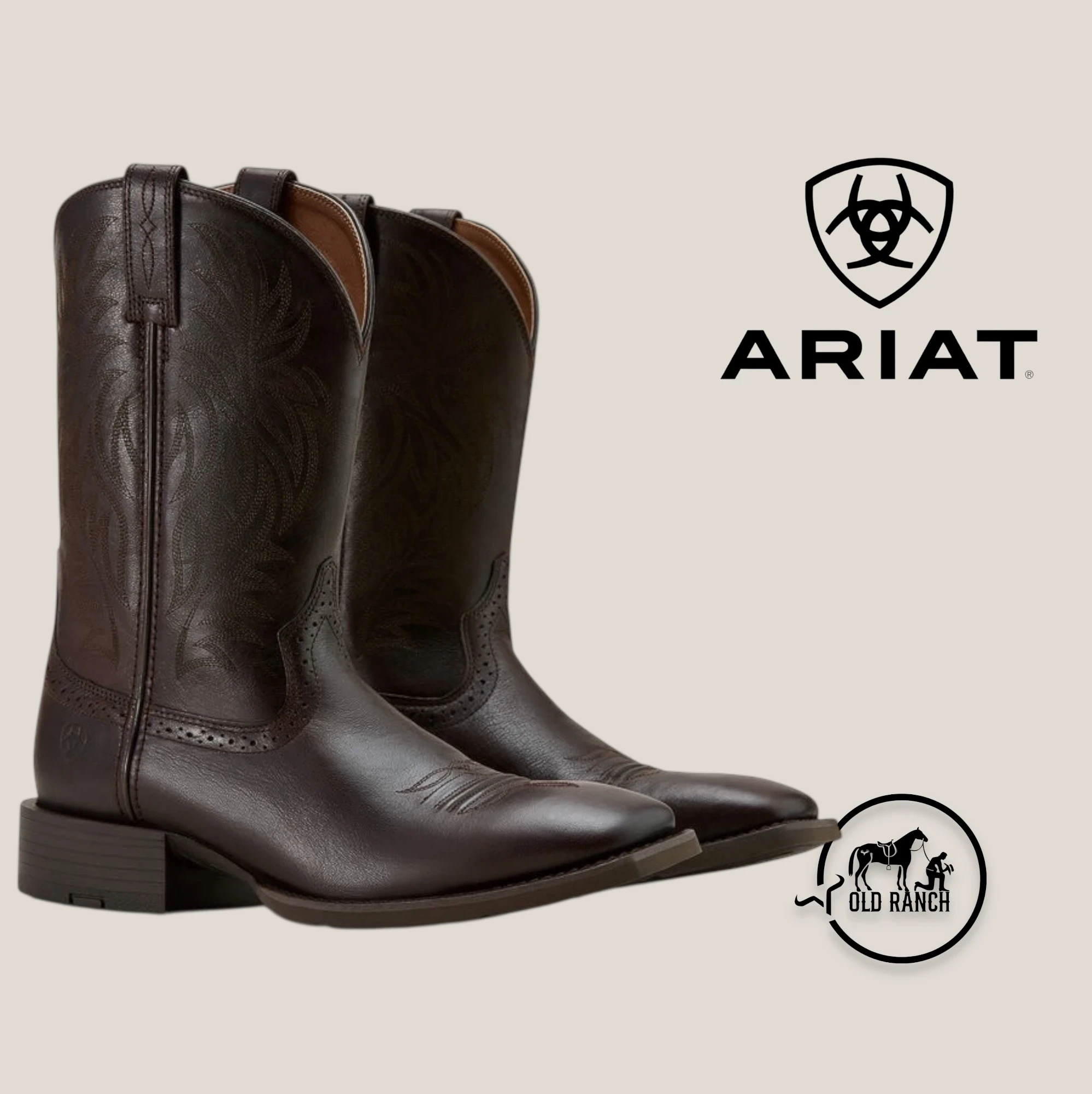ARIAT 2