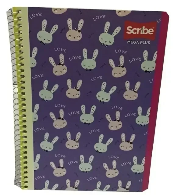 Cuaderno francesa rayada mega 100 hojas espiral  4