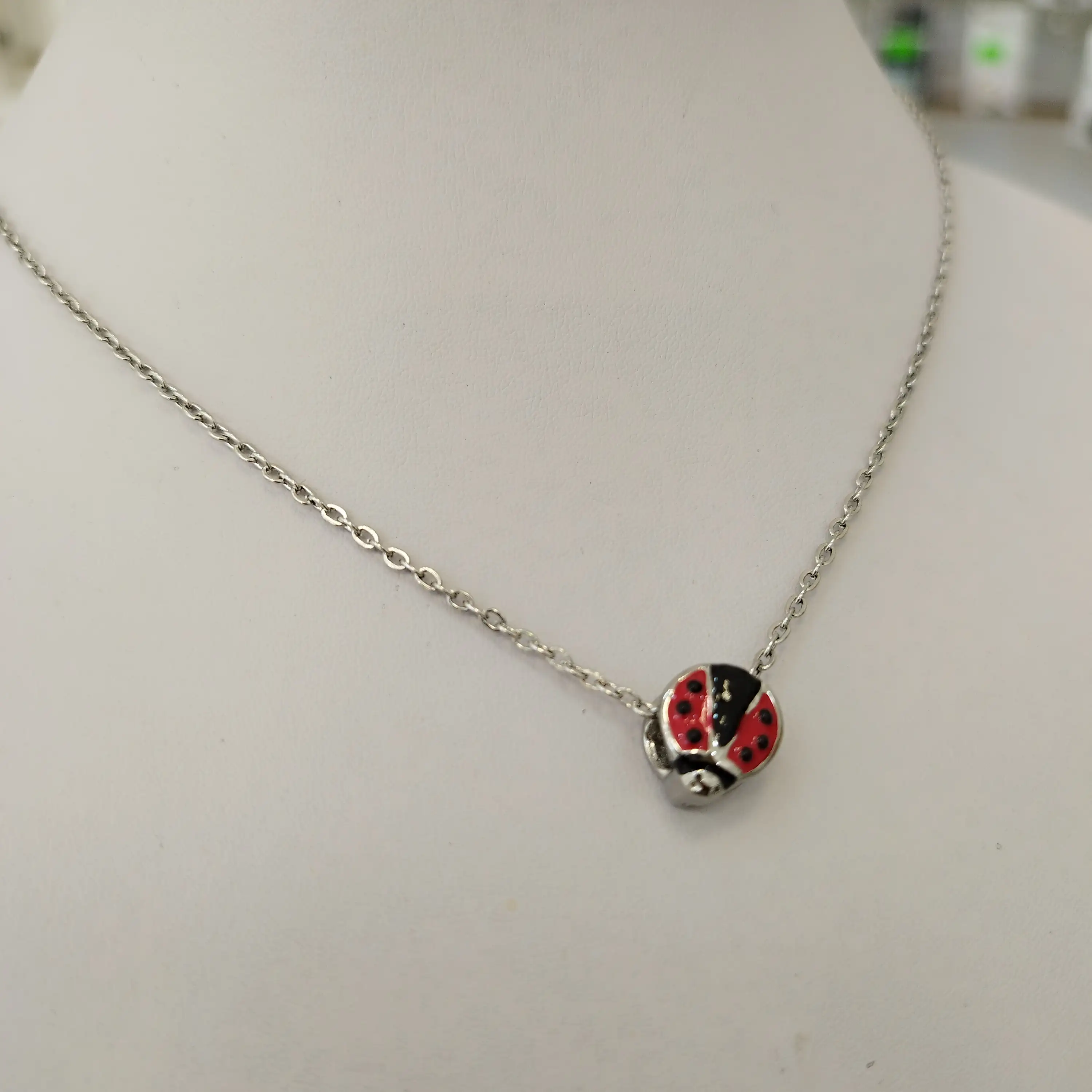 Conjunto Vaquita