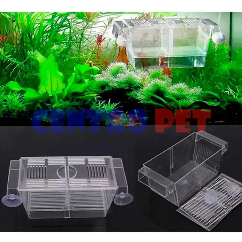 PARIDERA COD. 1120 2