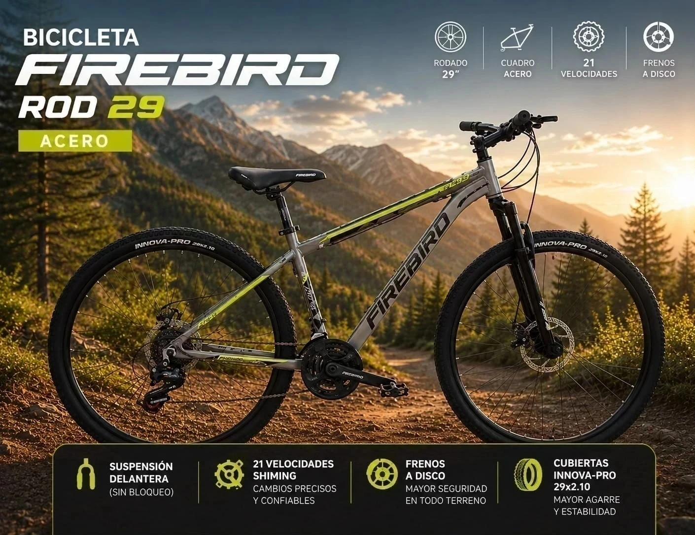 BICICLETA FIREBIRD ACER0 2