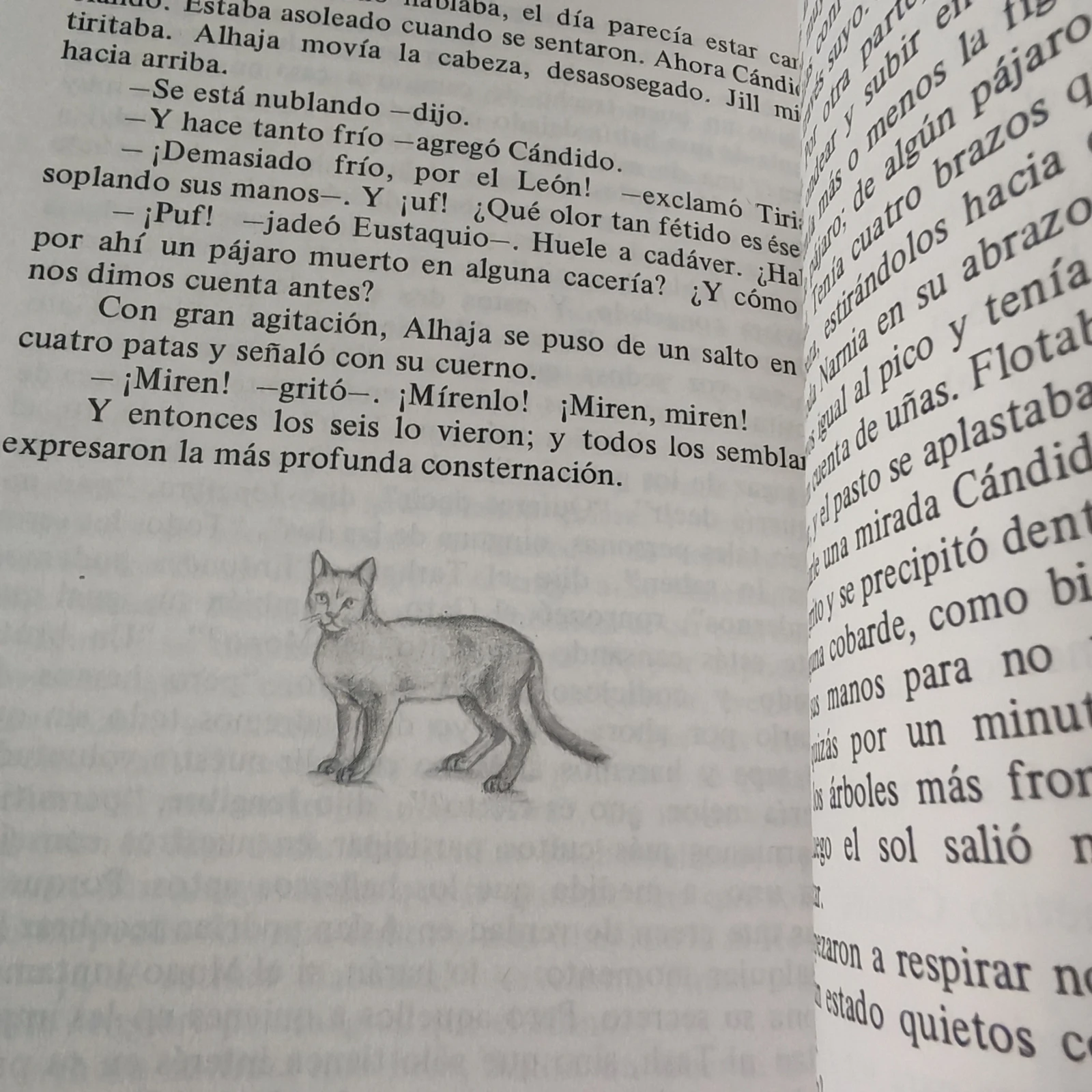 Las crónicas de Narnia, la última batalla, C. S. Lewis nuevo  3
