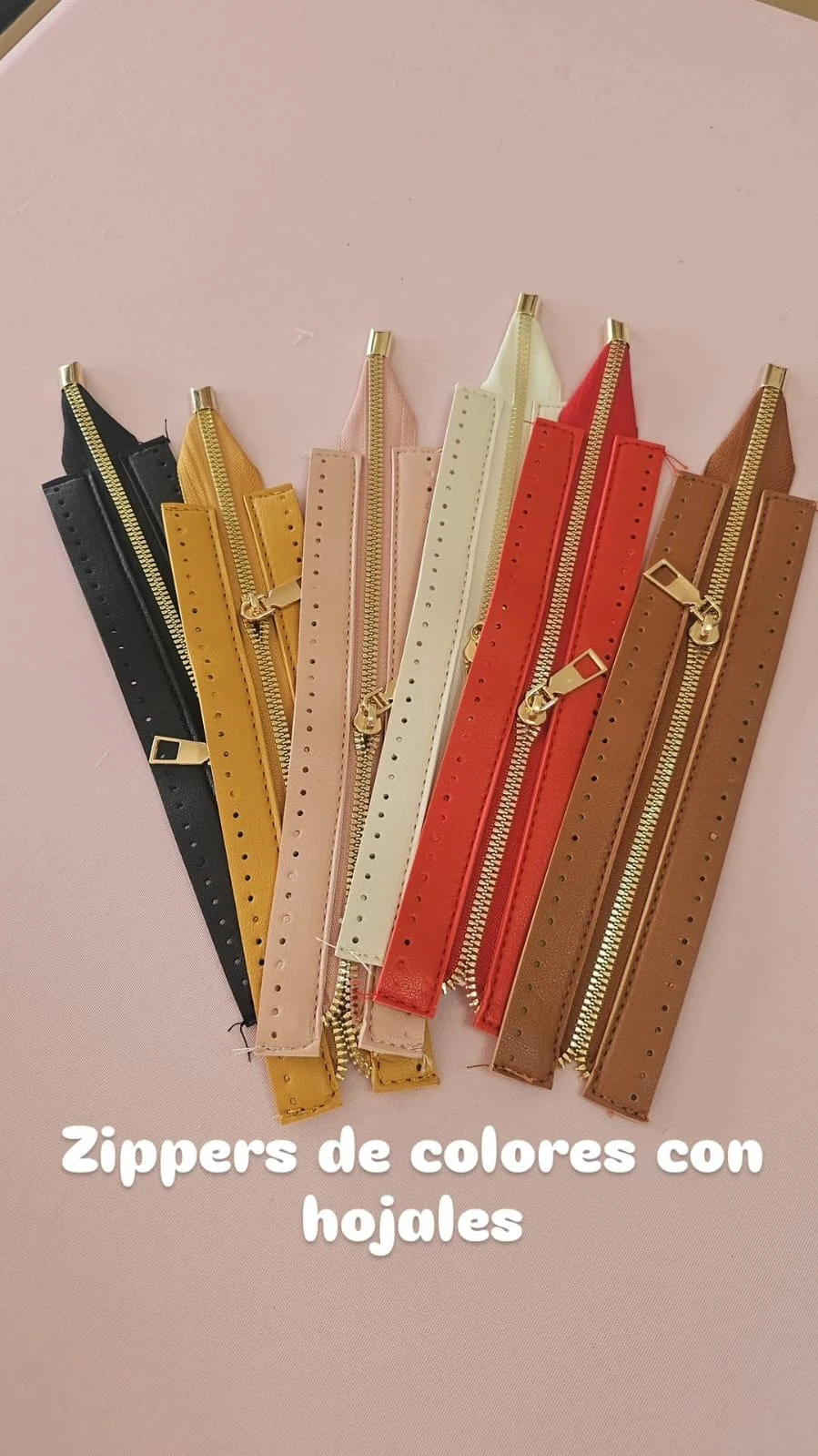 ZIPPER DE COLORES CON HOJALES PEQUEÑOS