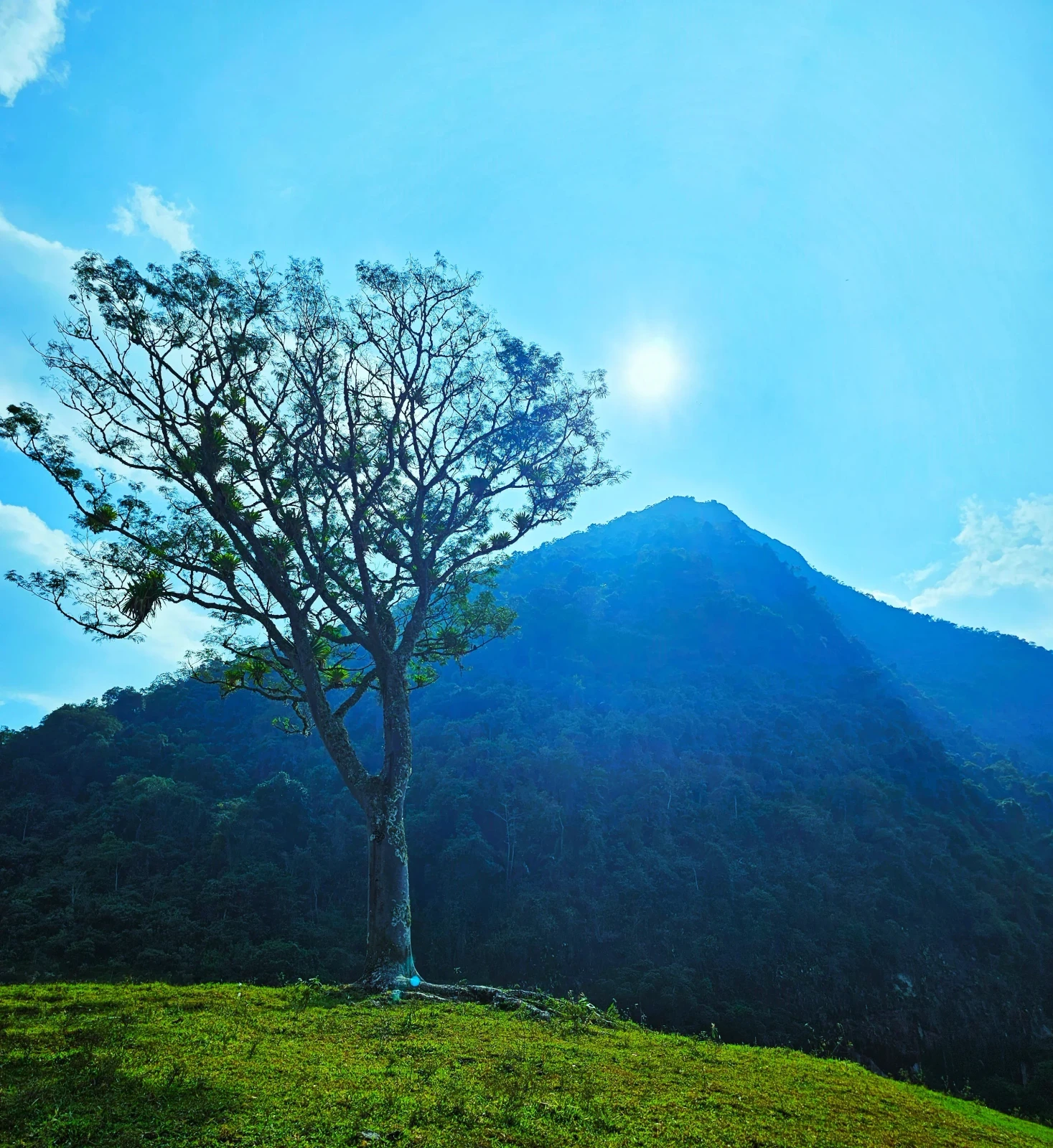CERRO SILLON Y TUSA ÚNICOS 2