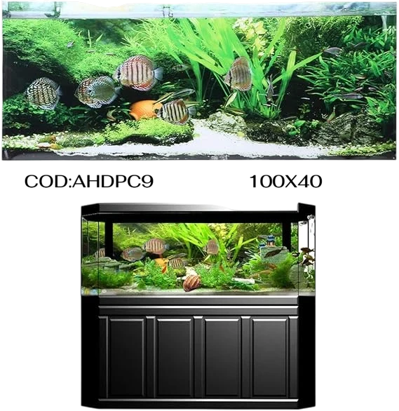 100X40 LAMINA DE FONDO