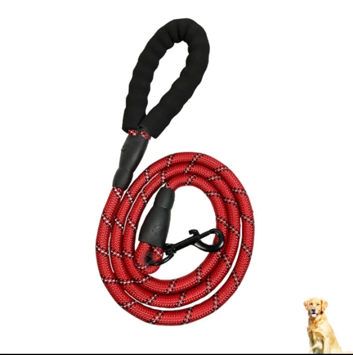 Paquete paseo de perros. Kit 5 en 1, correa y accesorios  2