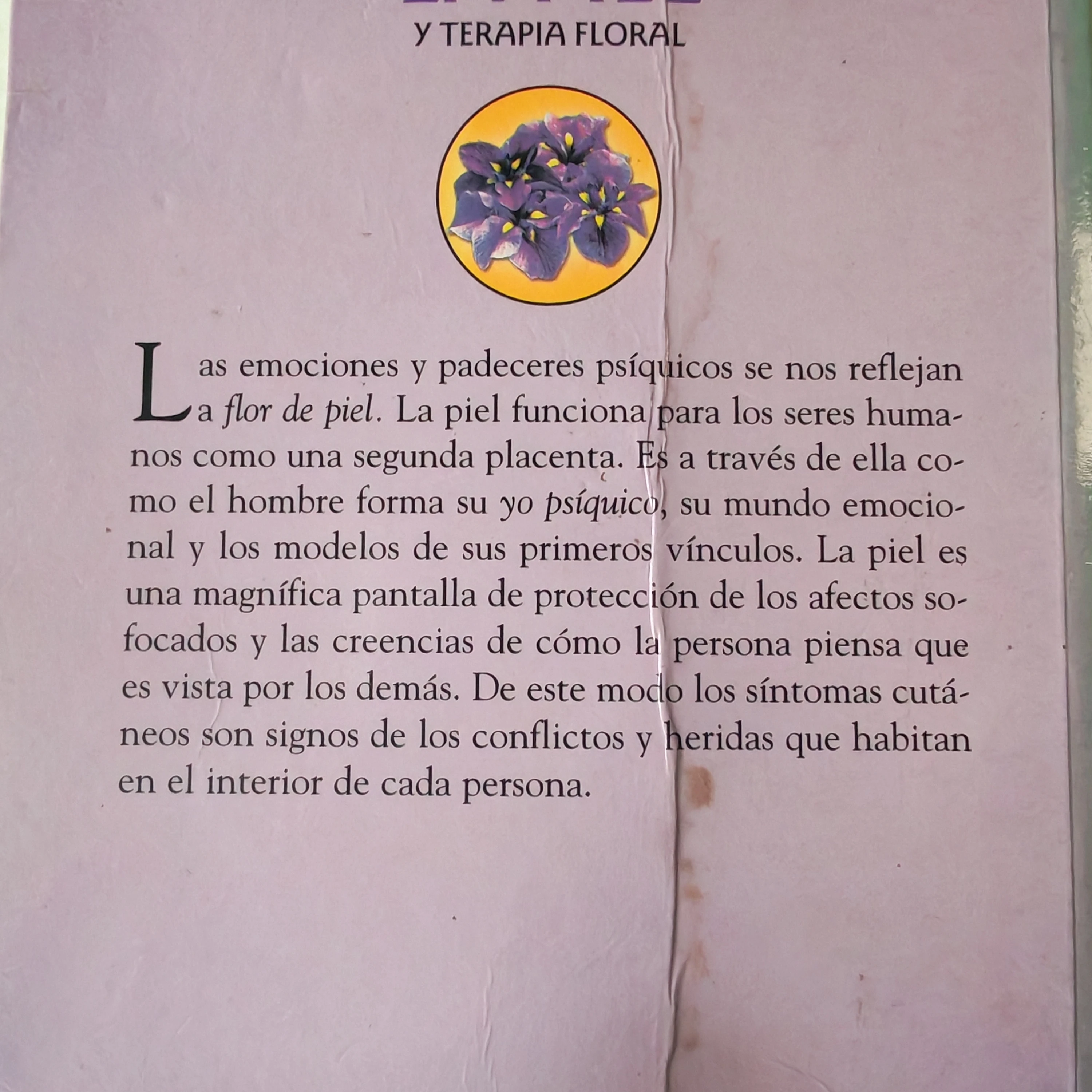 Enfermedades de la piel y terapia floral, Eduardo H. Grecco, usado 2