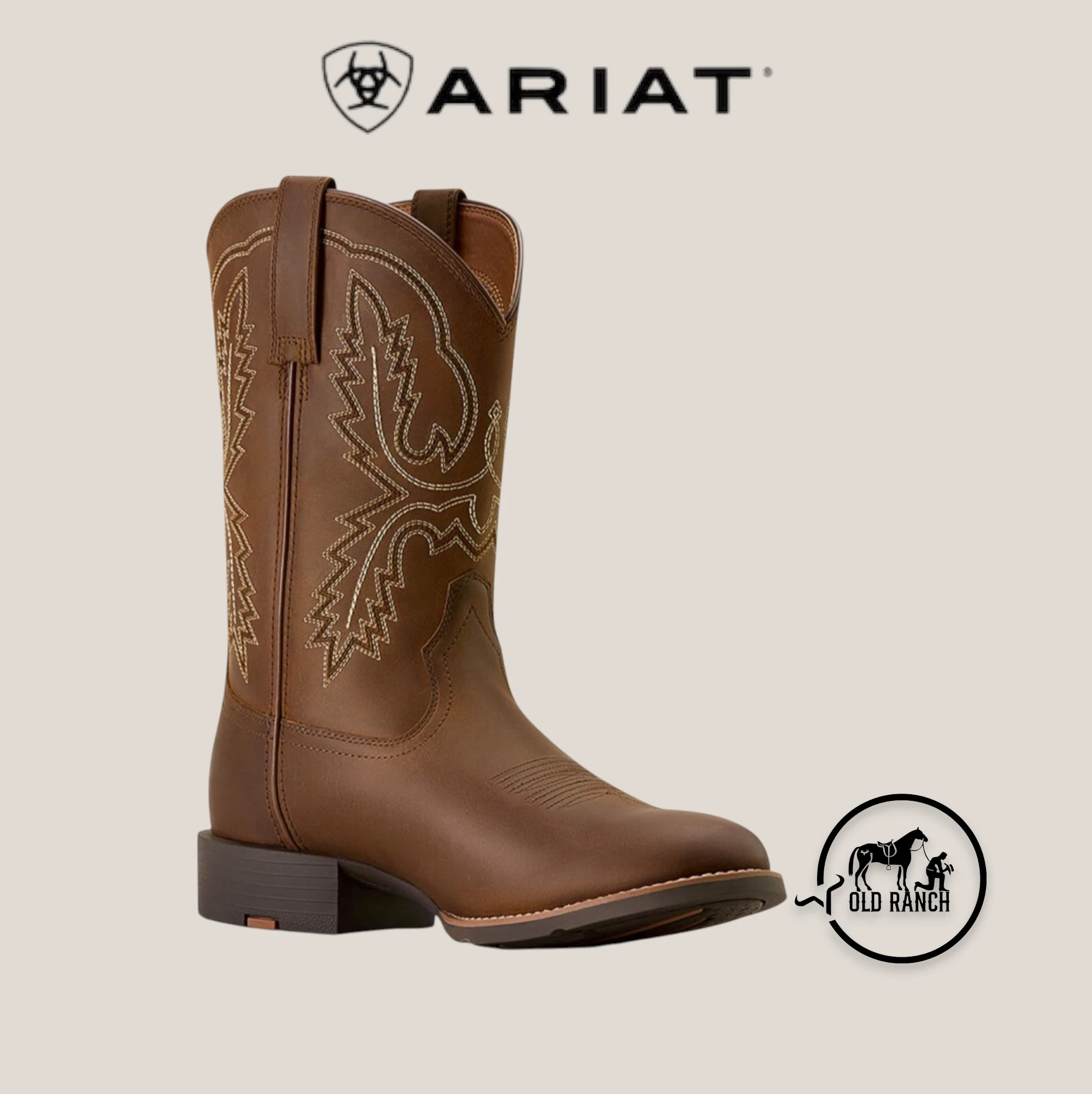 ARIAT 2