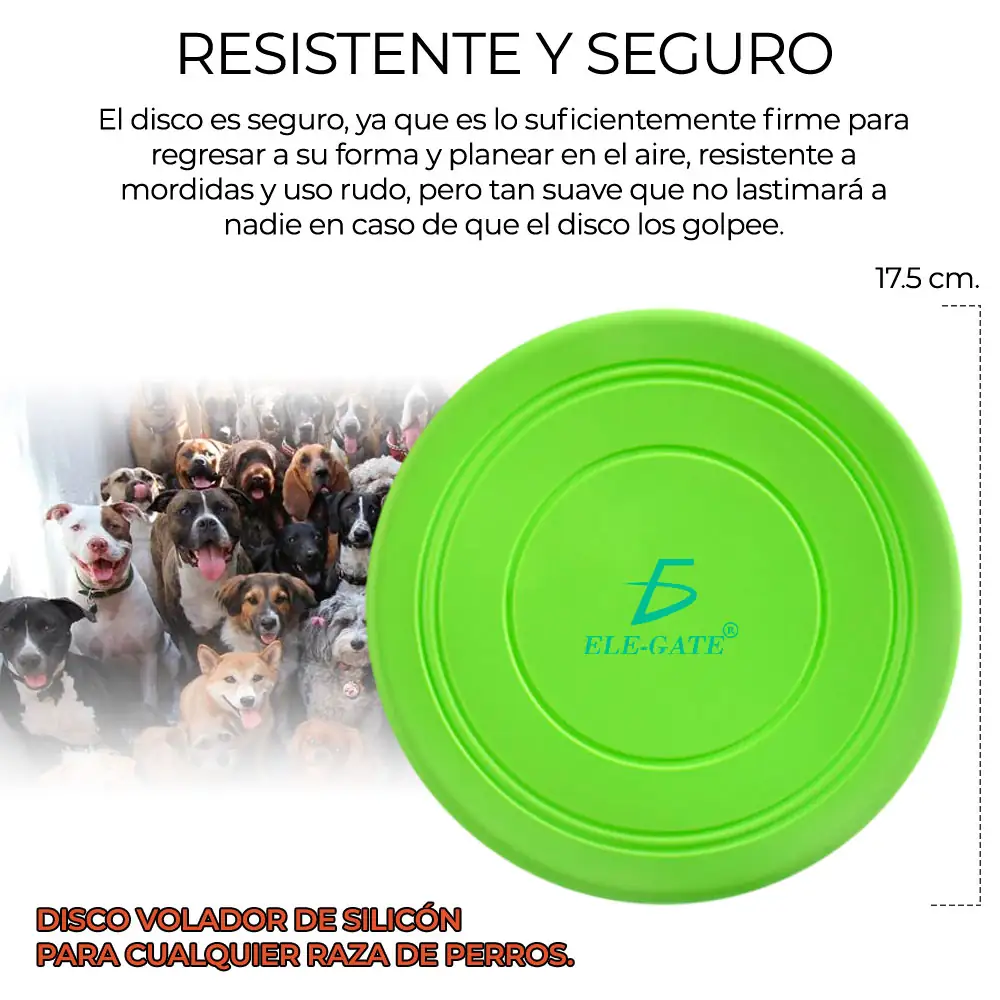 10 Discos Frisbee Para Mascotas  4