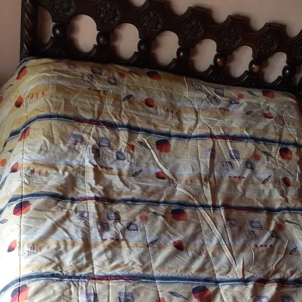 Ropa
