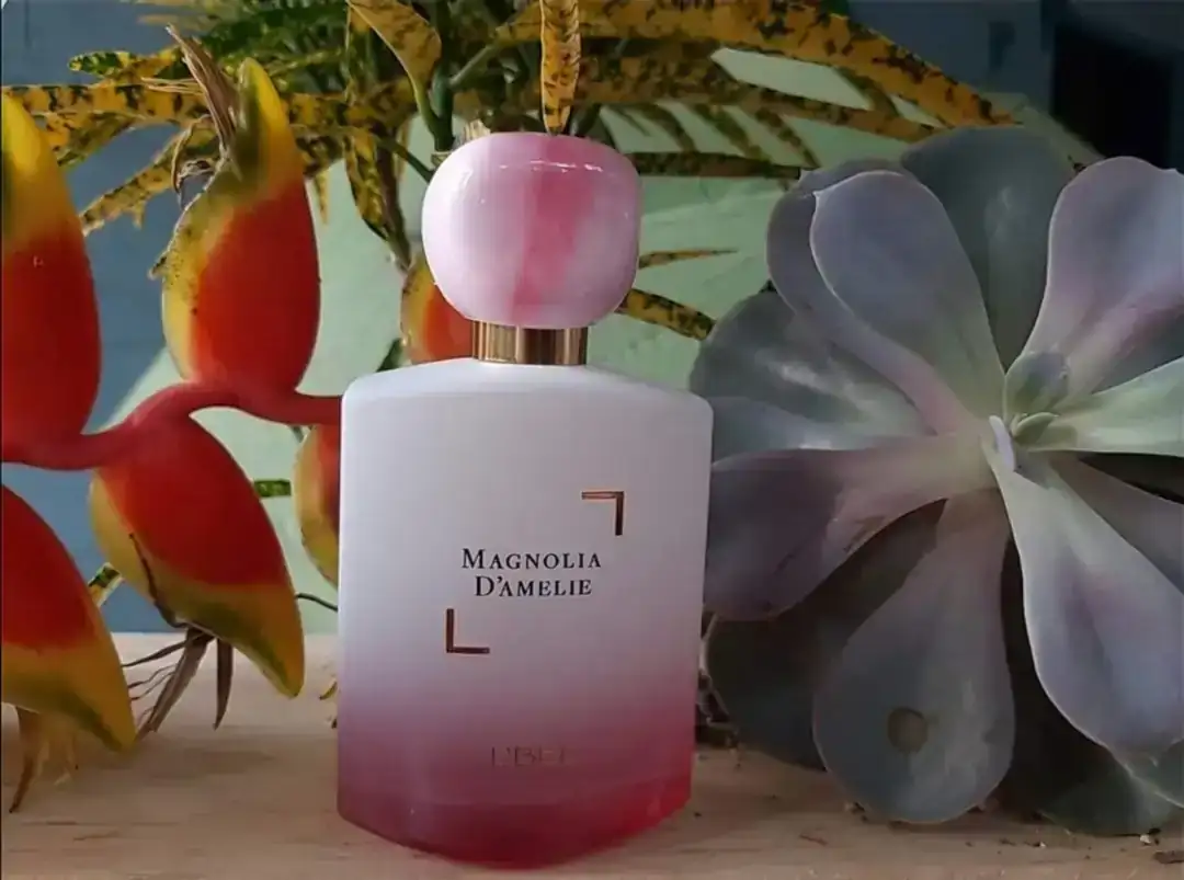 MAGNOLIA DMELIE