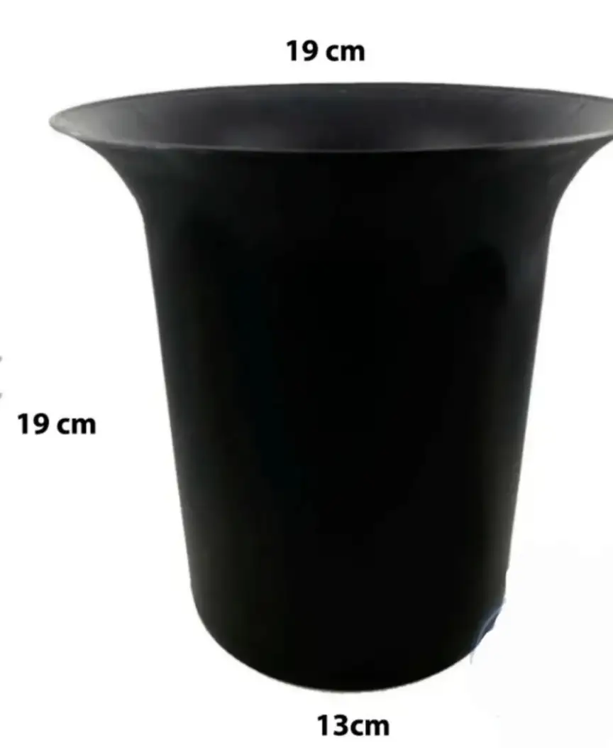Frappera grande 2