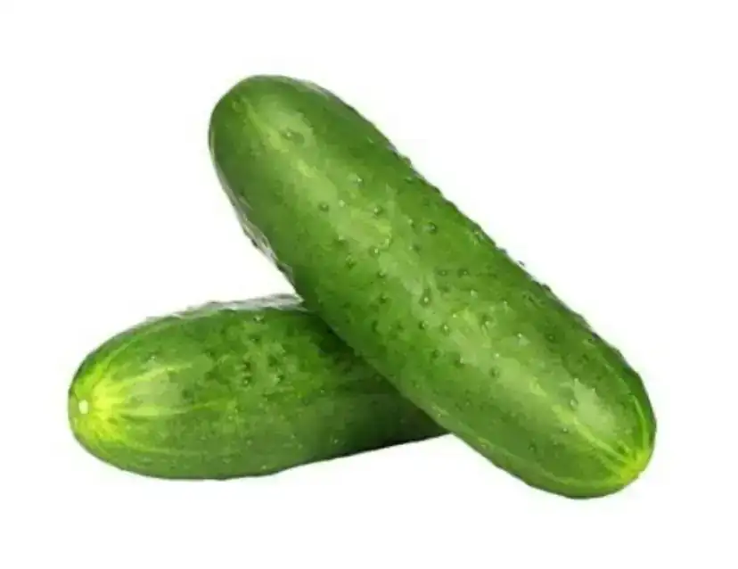 Pepino