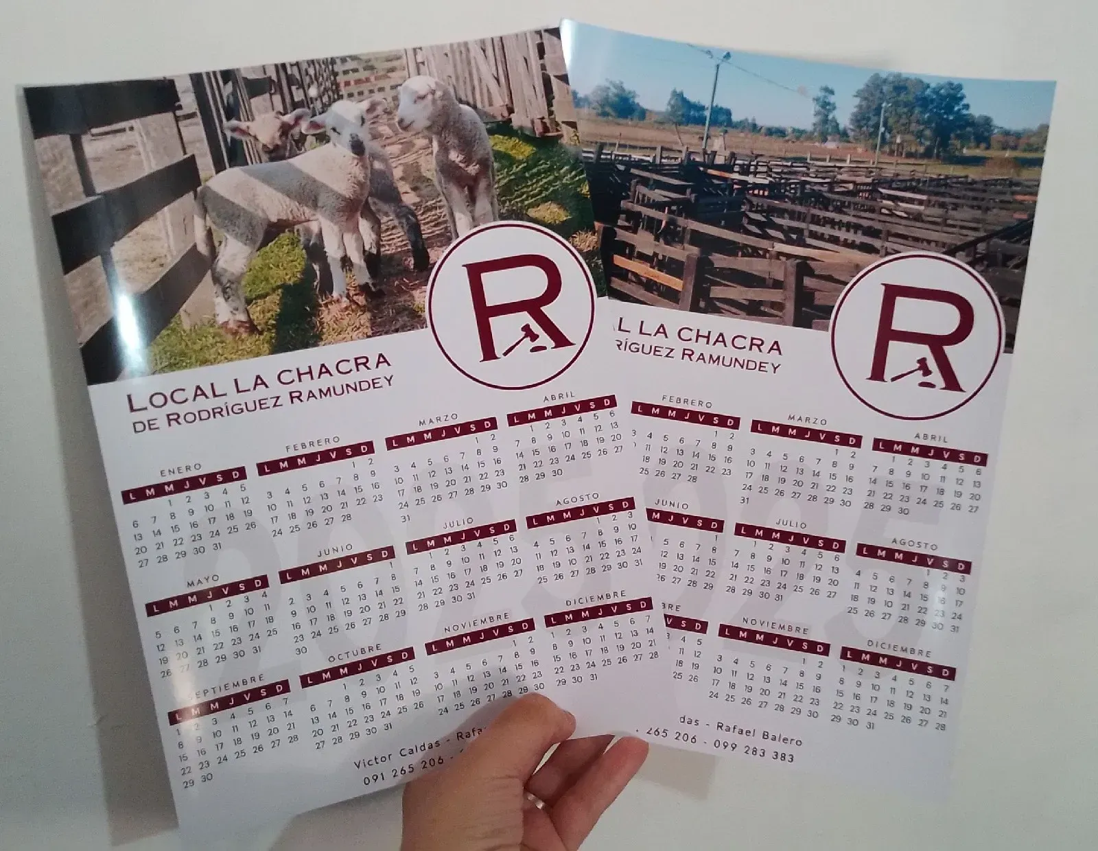 Calendario de pared pack por 50 unidades 