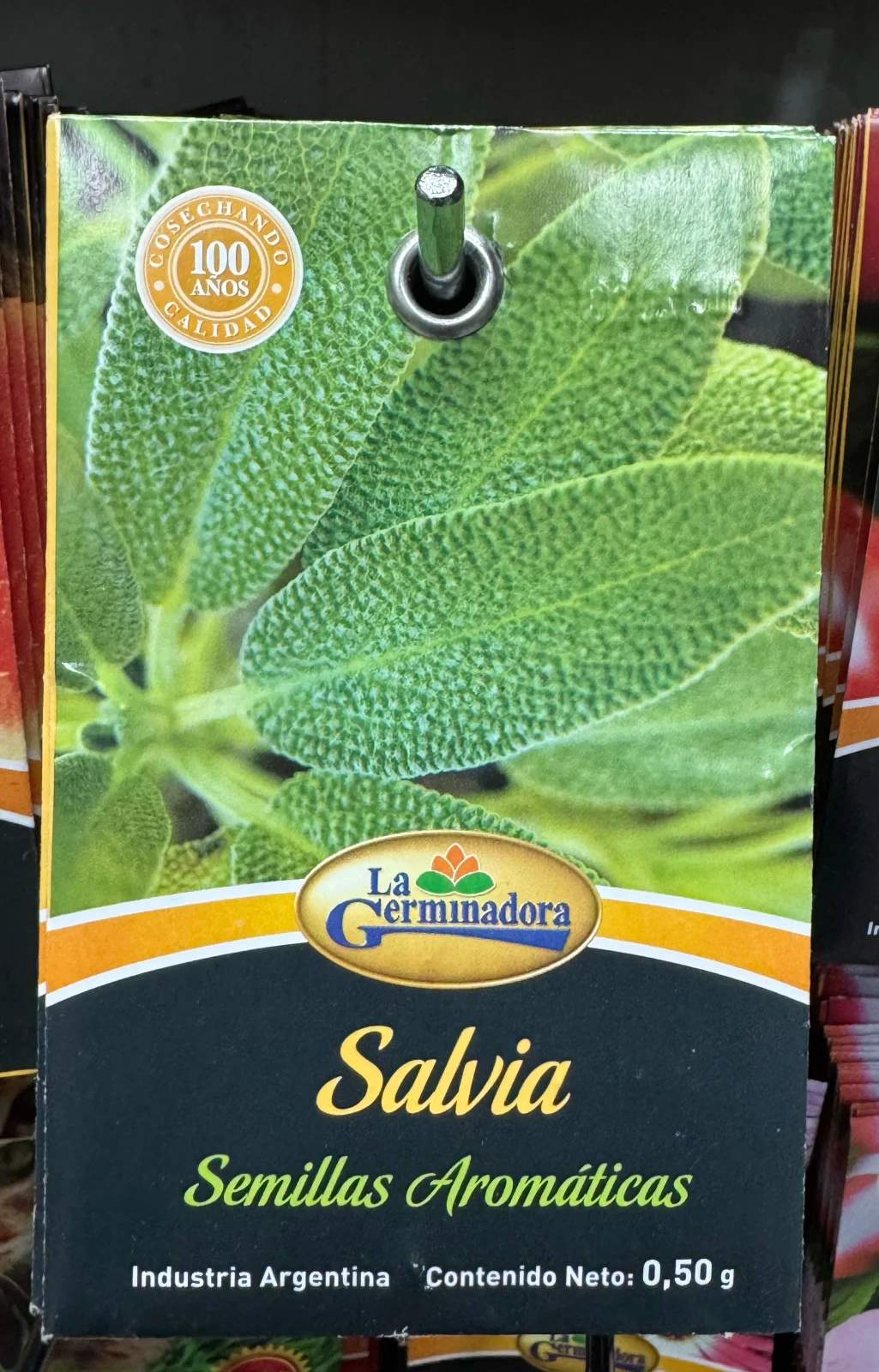 Salvia semillas Aromaticas 
