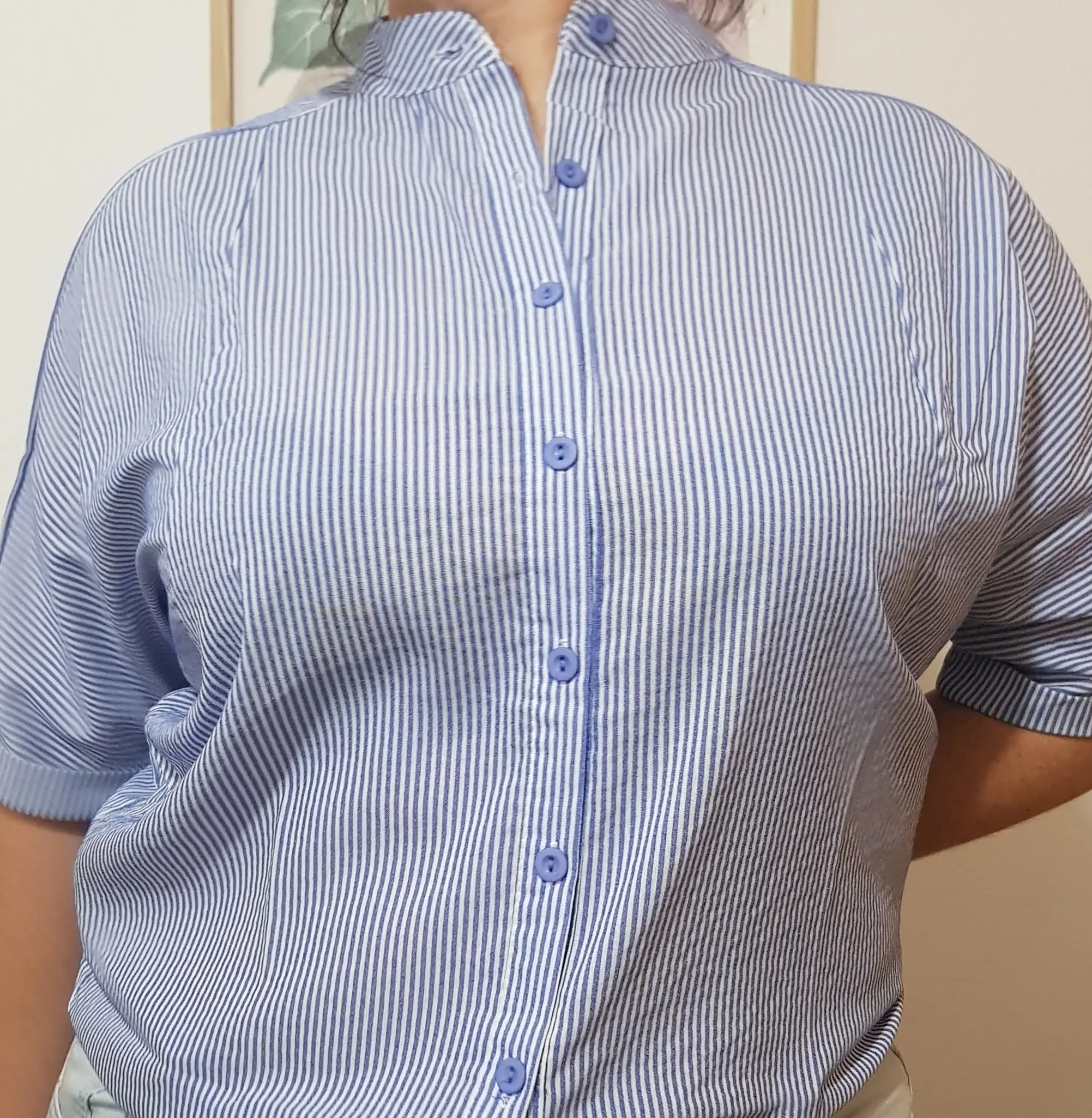 Camisa