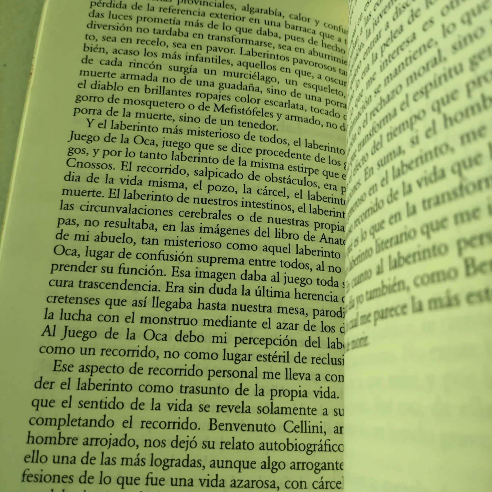 Literatura en el laberinto, Varios autores, usado  3