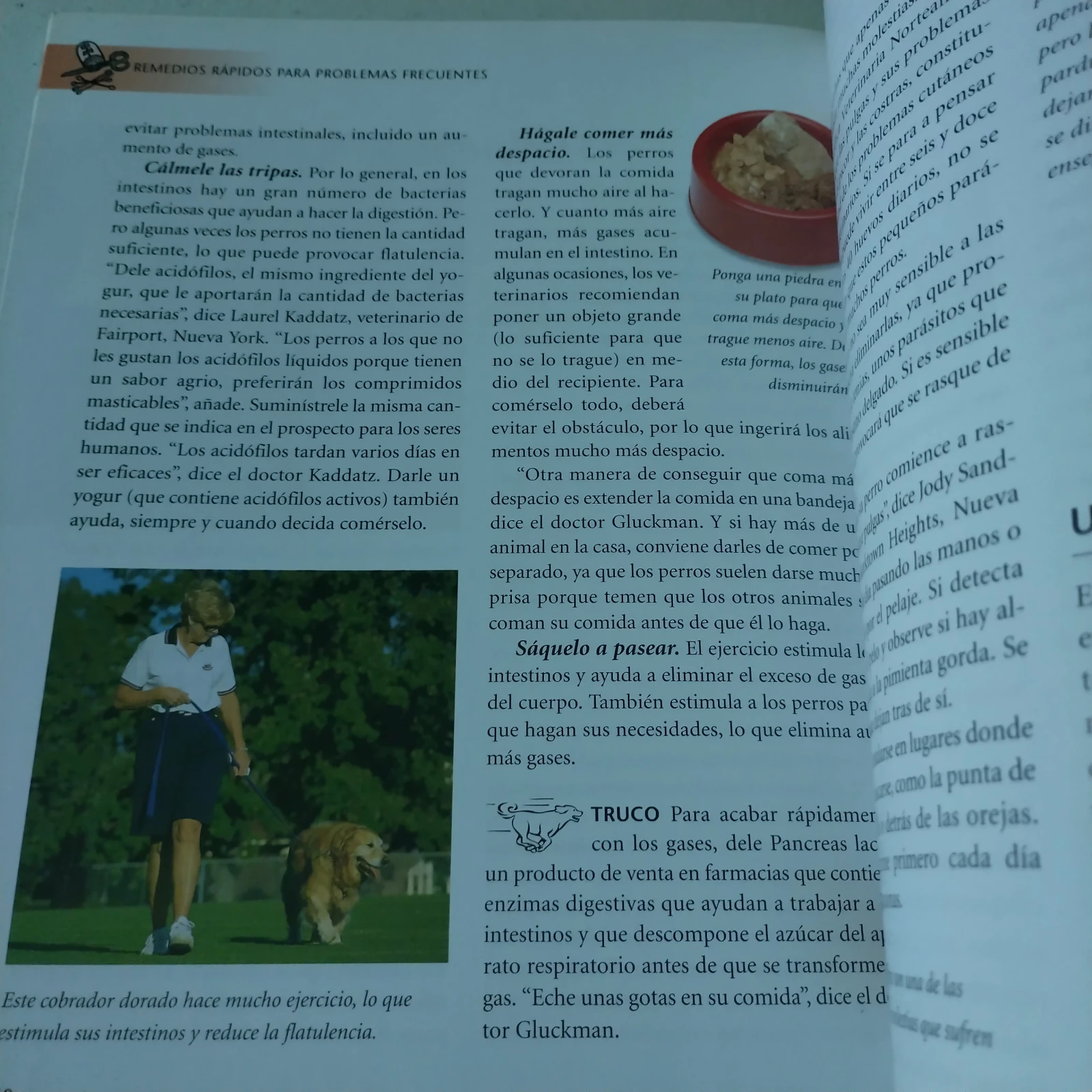 El veterinario en casa, usado 3