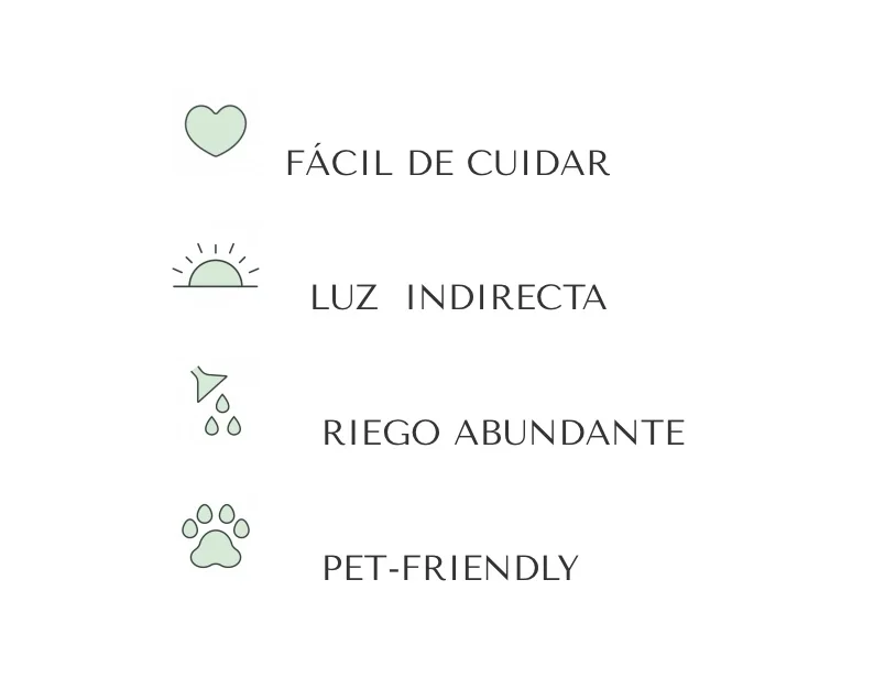 PALMA ARECA MINI 3