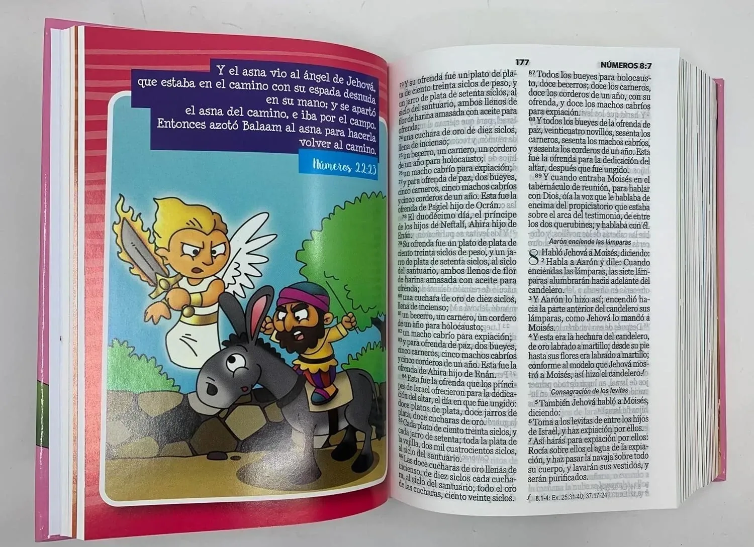 Biblia mi gran viaje RV60 Rosa ziper LG 2