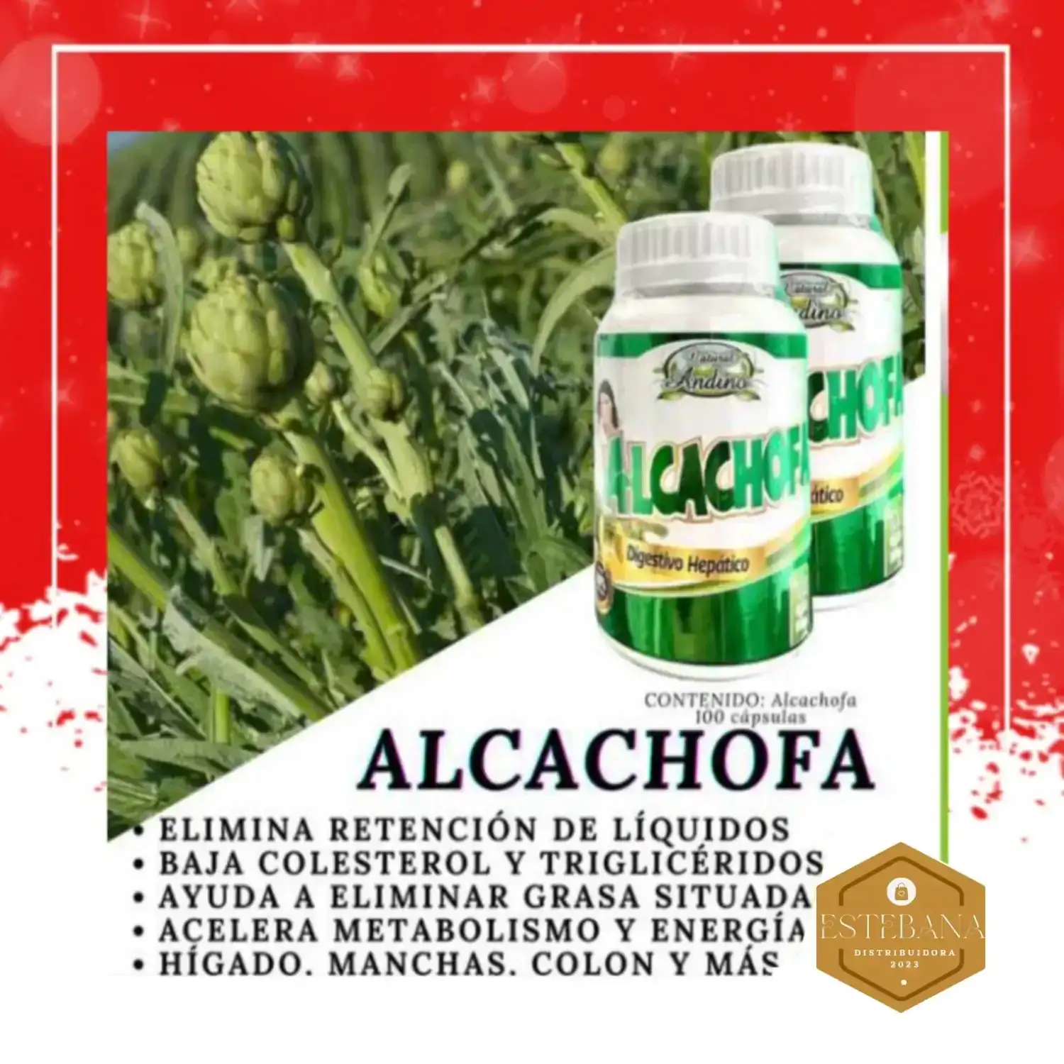 Alcachofa