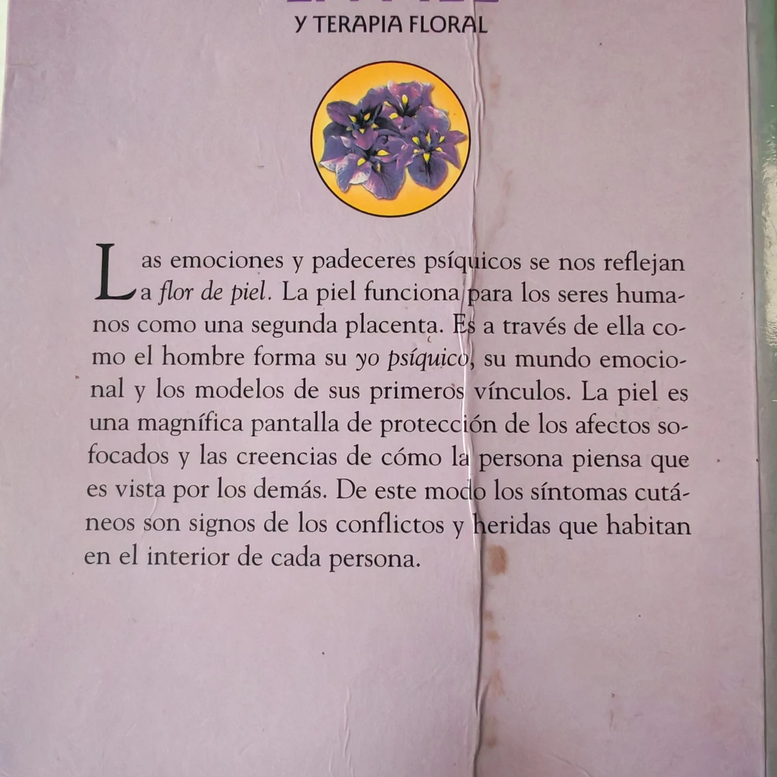 Enfermedades de la piel y terapia floral, Eduardo H. Grecco, usado 2