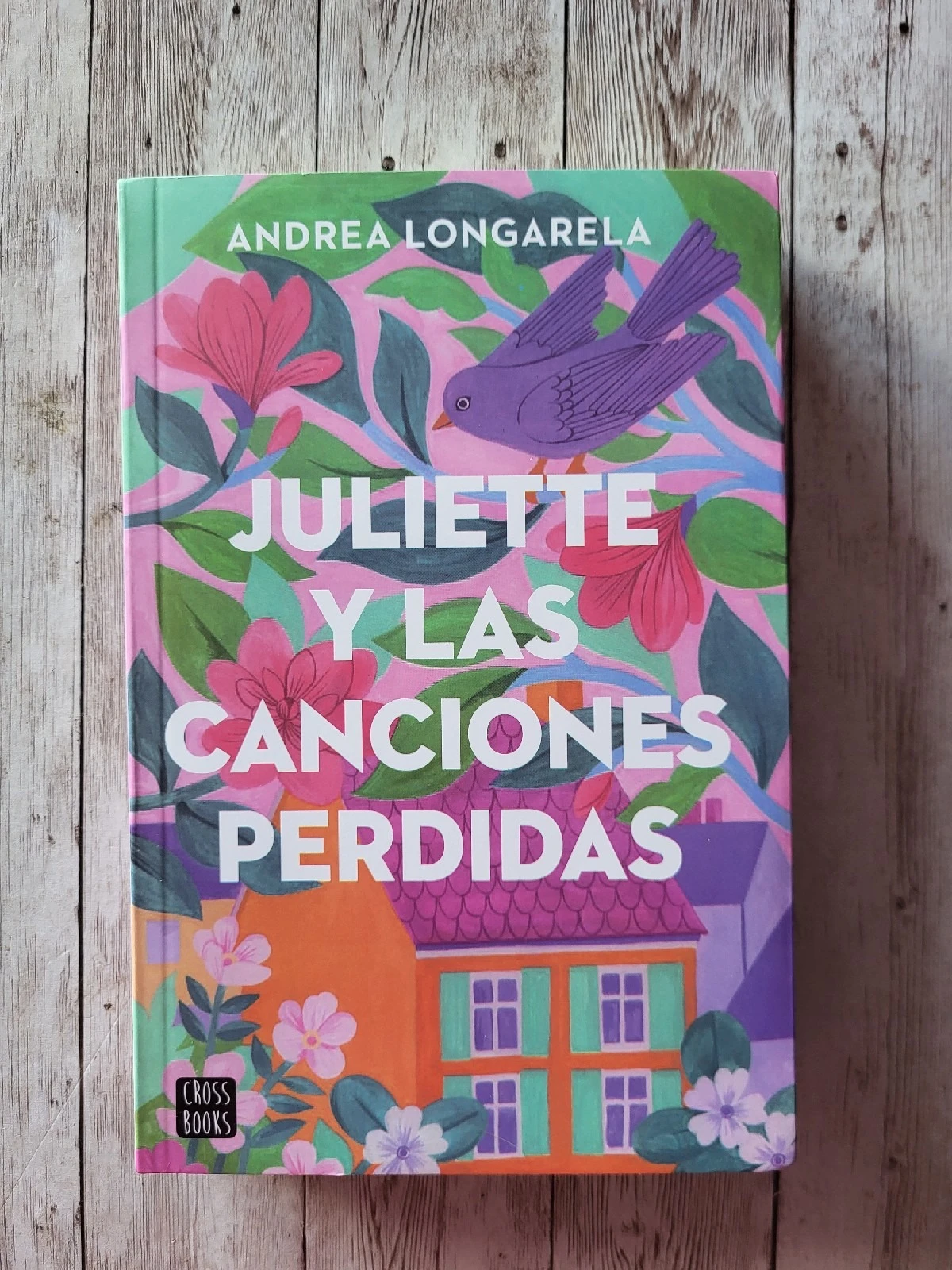 Juliette y las canciones perdidas / Andrea Longara / Superacion / segundas oportunidades / Autodescubrimiento