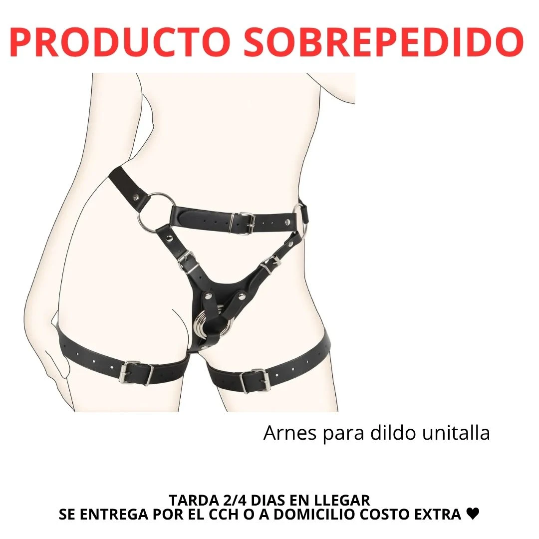 ARNES PARA DILDO