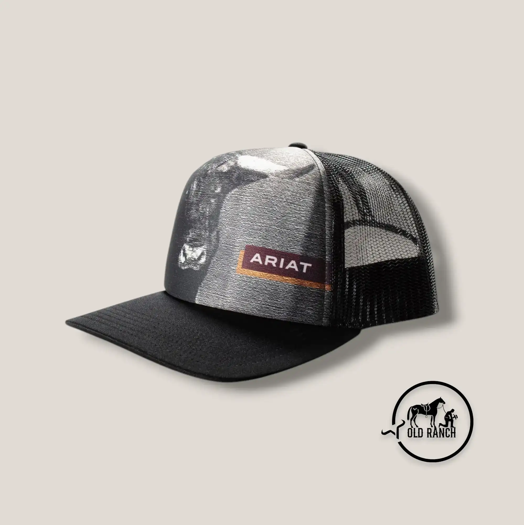 ARIAT 3