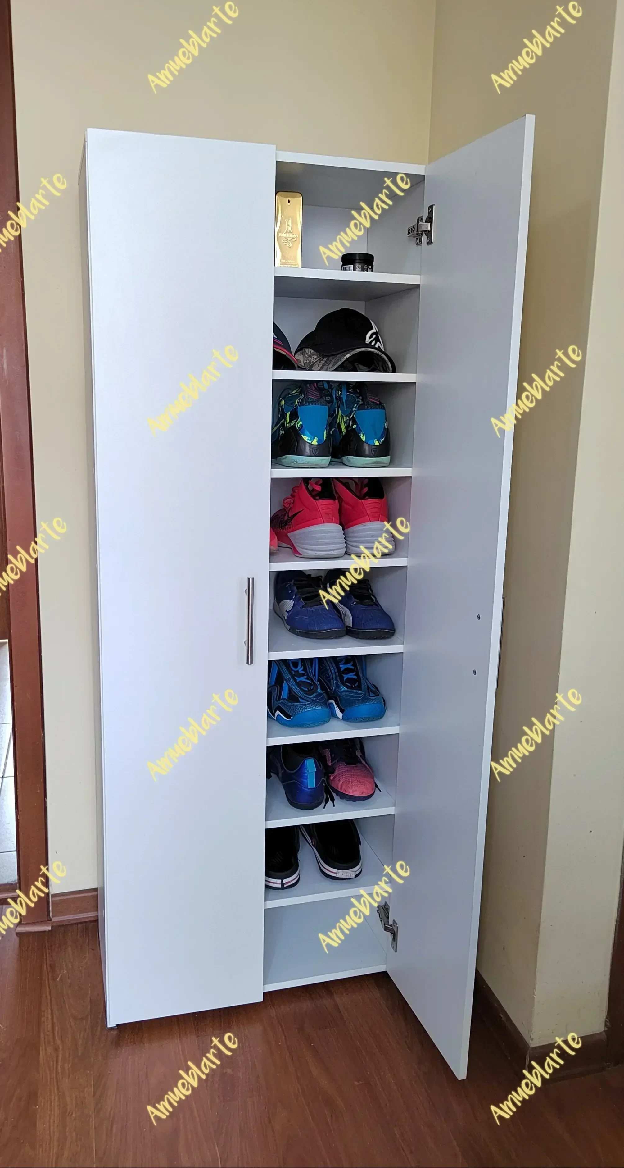 Zapatera Midland  6