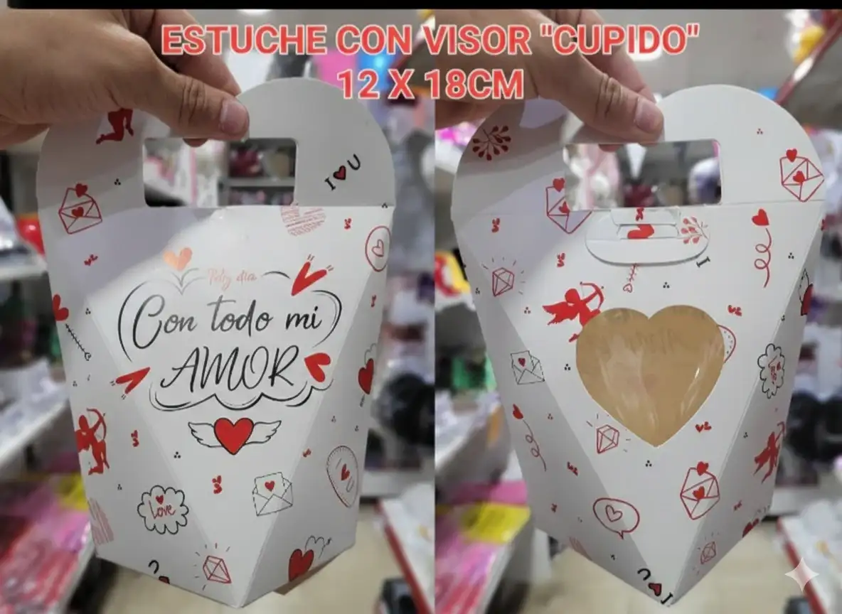 Caja con visor y manija